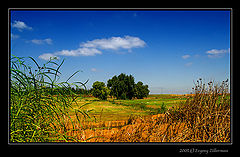 фото "Morning"