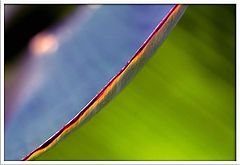 photo "Art 47"