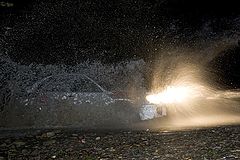 photo "Rally"