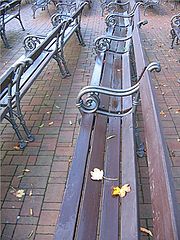 фото "Autum."