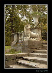photo "In an old park"