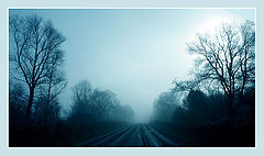фото "**"