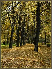 фото "Осень"