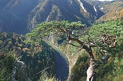 photo "mountain view"