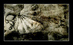 photo "A hard talk"
