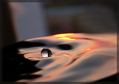photo "* * *"