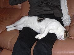 фото "Now this is relaxed..."