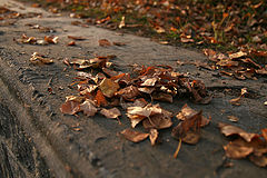 photo "****"