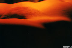 фото "Human dune"