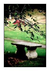 фото "For You"