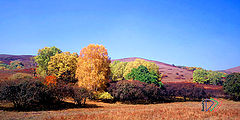 фото "Colorful season"