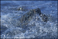 фото "-30"