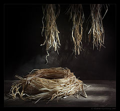 photo "Bast whisp"