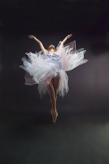 photo "BALLERINA"