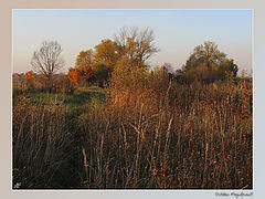фотоальбом "October Magnificent!"