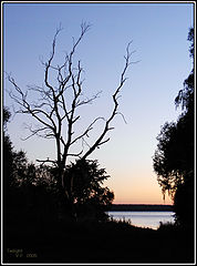 photo "Twilight"