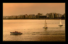 photo "Navigating on golden sea..."