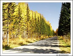 photo "The Sun way"