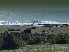 photo "brighty silence...."
