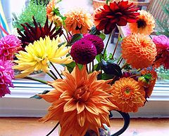 фото ""A Mixed Bunch""