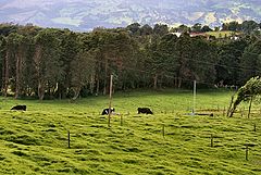 photo "Costa Rica Countryside"
