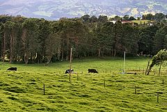 фото "Costa Rica Countryside"