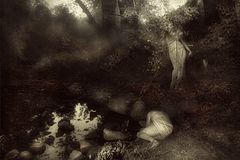 фото "In search of the Beloved"