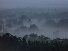 photo "Untitled photo"