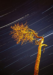 photo "astral journey"