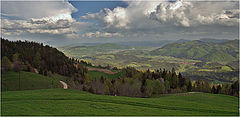 photo "Lines"