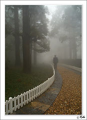 photo "fog"