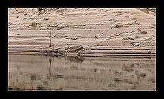 photo "the edge"