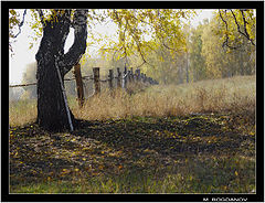 photo "The Autumn painting"