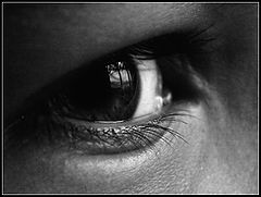 photo "Window to the World"