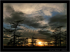 photo "The Guards of the Sunset"