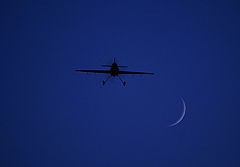 photo "From the moon"