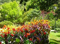 фото "Public Garden"