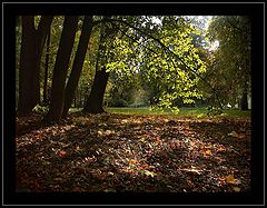 photo "Autumn waltz"