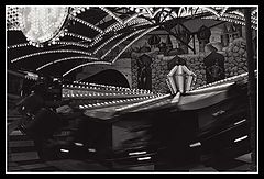 фото "A Wild Ride"