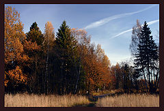 photo "Autumn into Abramtsevo"
