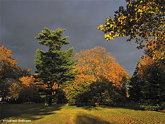 фото "Color of Fall"