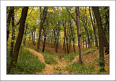 photo "Autumn"