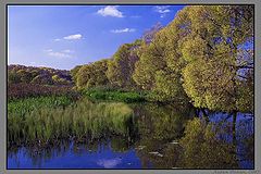 photo "Untitled photo"