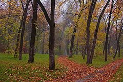 фото "park in fall"