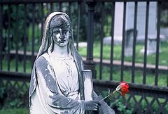 photo "MARY WITH RED ROSE"