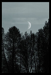photo "Moon"
