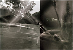 photo "Barrenness"
