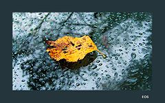 photo "Leave"