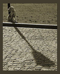 фото "*   *   *"