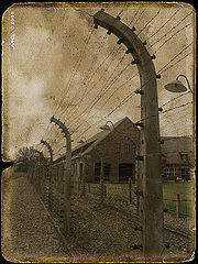 фото "The camp..."